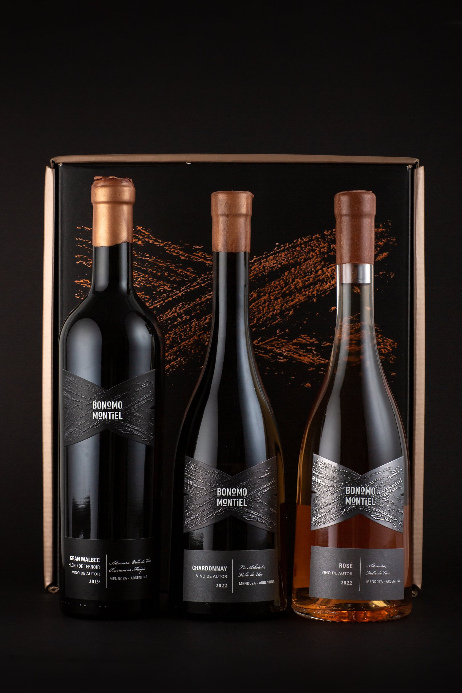 Serie Conexiones — Bonomo & Montiel